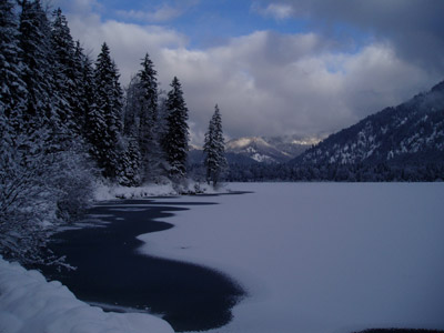 Offensee Salzkammergut Ober�sterreich Konsulent Dr. Michael Populorum