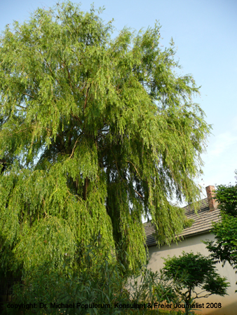 P1010744