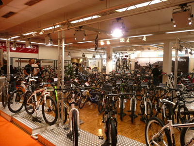 Fahrrad Bike & Trimm Marktforschung Befragung Dr. Populorum