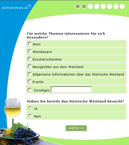 Beispielfragebogen Steirischer Wein